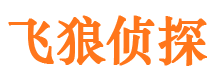 桦甸侦探公司